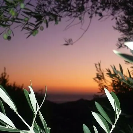 Tatil Evi Villa Competa Cómpeta